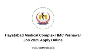 Hayatabad Medical Complex HMC Peshawar Job 2025 Apply Online