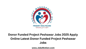 Donor Funded Project Peshawar Jobs 2025 Apply Online Latest Donor Funded Project Peshawar Jobs